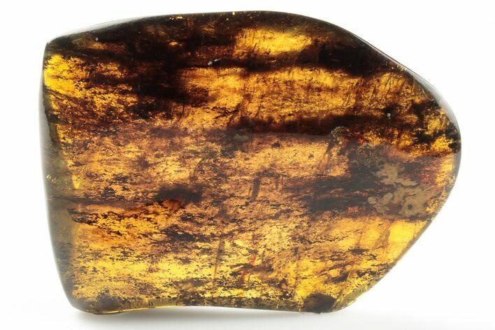 Polished Chiapas Amber ( g) - Mexico #193291